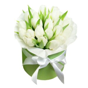 белые тюльпаны в коробке